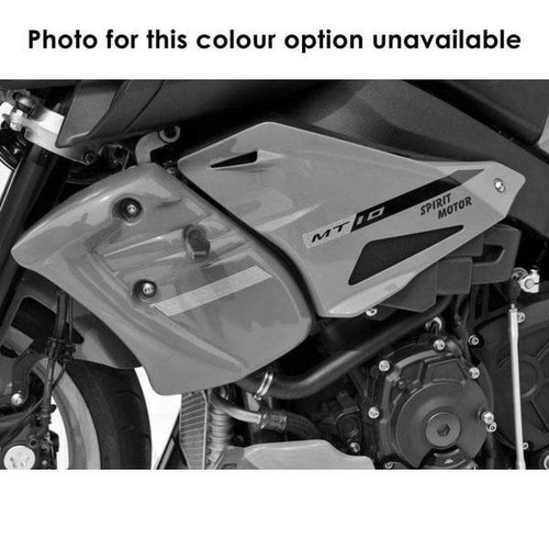 Ermax radiator cheeks ice - |,