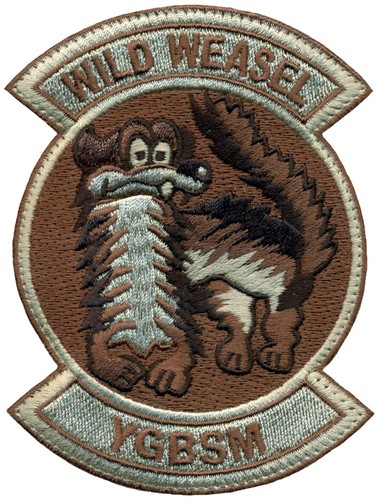 Usaf wild weasel ygbsm - usaf,