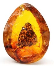 Amber variety with - amber,