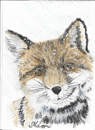 Fox the snow - fox, watercolour