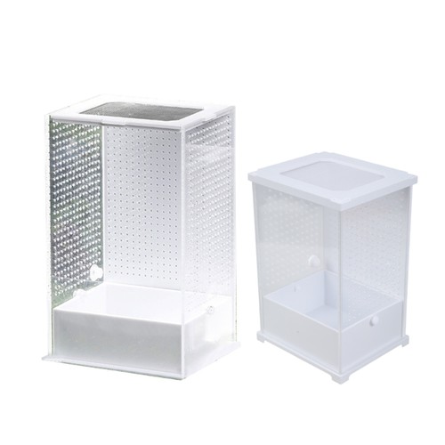 Acrylic terrarium insect - acrylic,