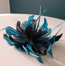 Black teal green feather