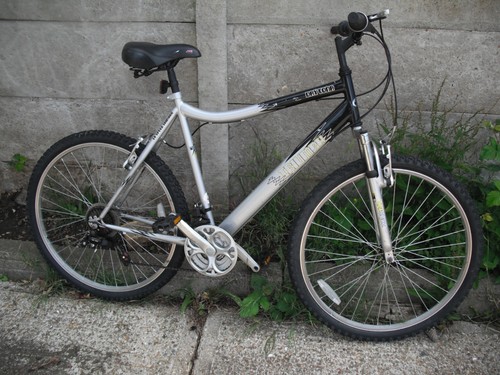 Triumph raleigh daytona - triumph,