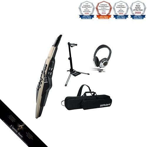 Roland 20sc case headphones - ae-20sc,