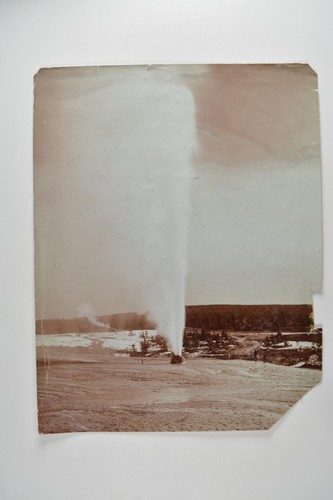 Bee hive geyser yellowstone - bee,