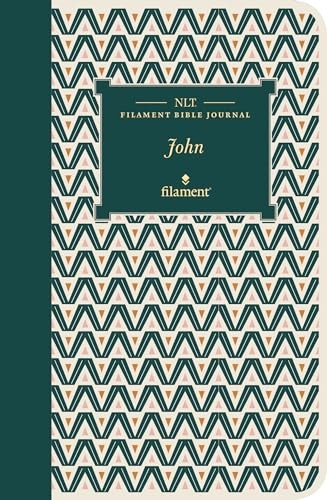 Nlt filament bible journal - bible,