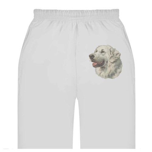 Pyrenean mountain dog adult - 'pyrenean,