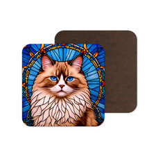 Cute Ragdoll Cat Kitten