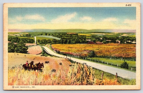 Rural scenes 10 - c.t.,