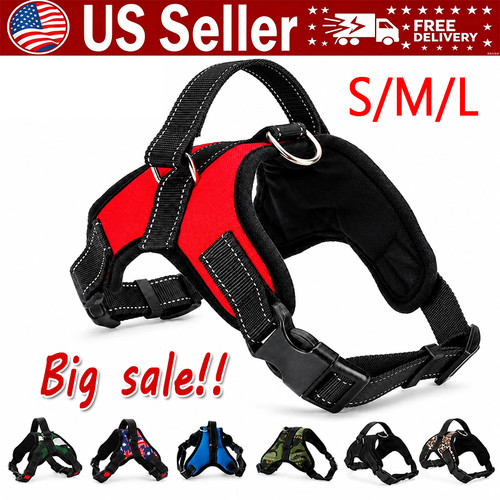 Pull dog pet - dog, harness