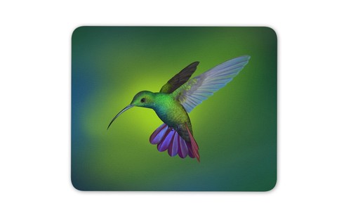 Amazing hummingbird mouse mat - mouse,