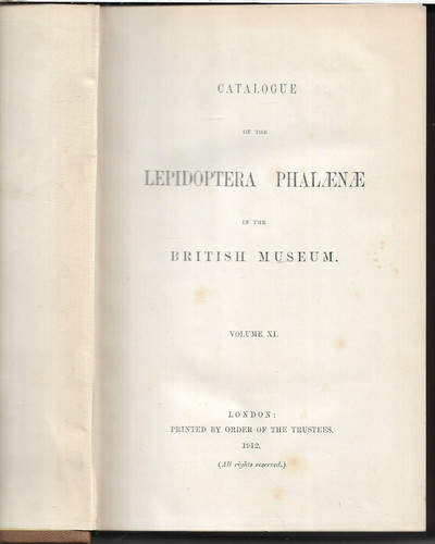 Catalogue lepidoptera - catalogue,