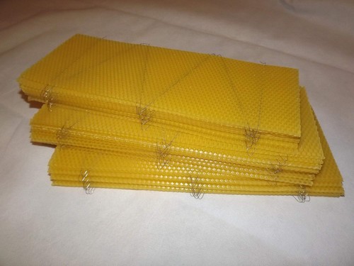 National bee hive - 50,