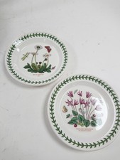 Portmeirion Botanic Garden