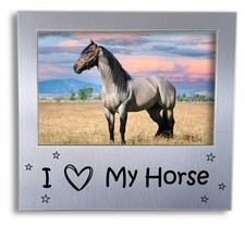 Photo Frame Picture Cat Dog Pony Horse Pet Birthday Christmas Friend Gift