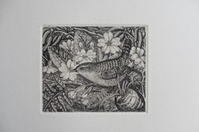 Robin Tanner. Wren and