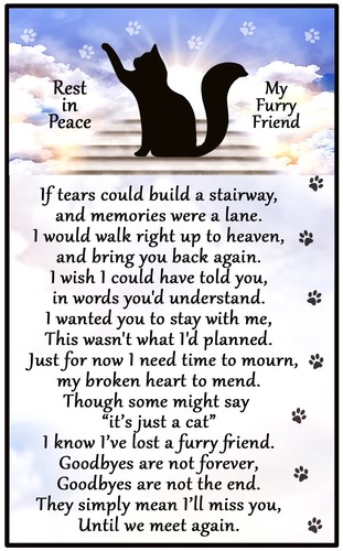 Cat loss rip magnet gift - magnet,