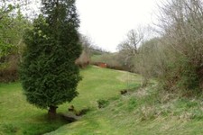 Photo 6x4 A quaint plot of