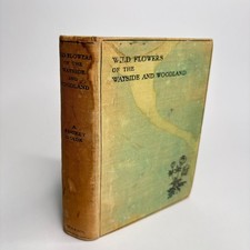 Frederick Warne Wild Flowers of the Wayside and Woodland Hardcover Vintage