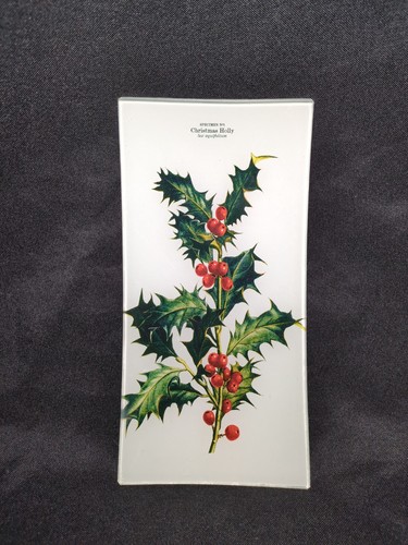 Ben garden holly specimen - garden,