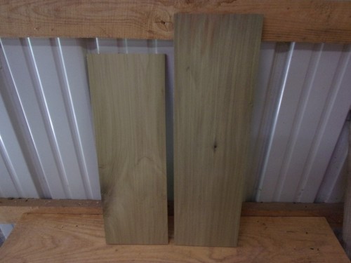 Tulip poplar wood - tulip, kiln