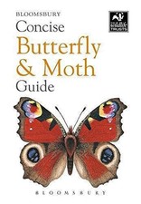 Concise Butterfly and Moth Guide (Concise Guides) - Bloomsbury