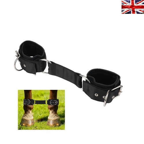 Versatile adjustable horse - versatile,