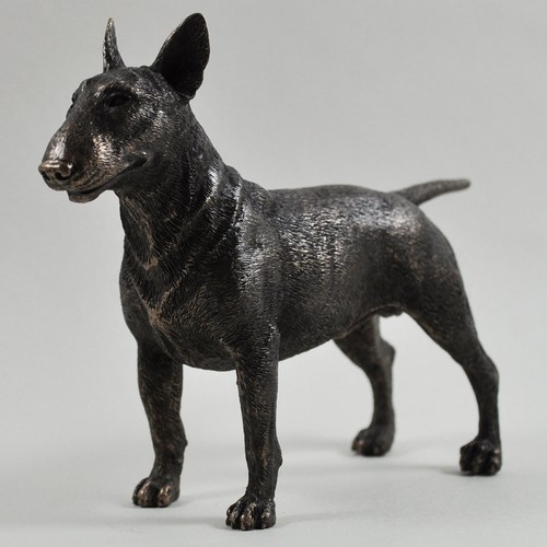 Bull terrier dog cold - dog, cast