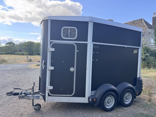 Ifor williams horse - horse, trailer