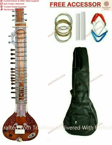 Electric sitar professional - sitar,