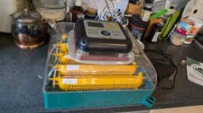 Zoom Farm Automatic Incubator