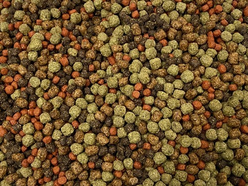 Abf cichlid food pellet - abf,