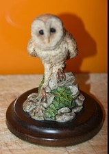 Country Artists Barn  Owl