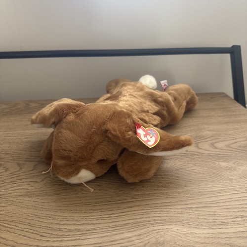 Beanie buddy ears - beanie,