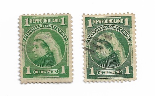 Newfoundland queen victoria - queen,