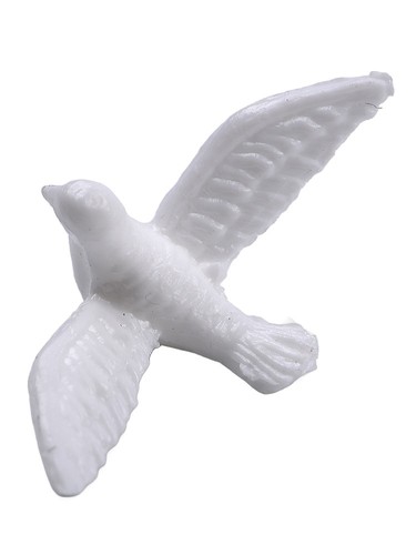 Tiny white pigeon - tiny, for