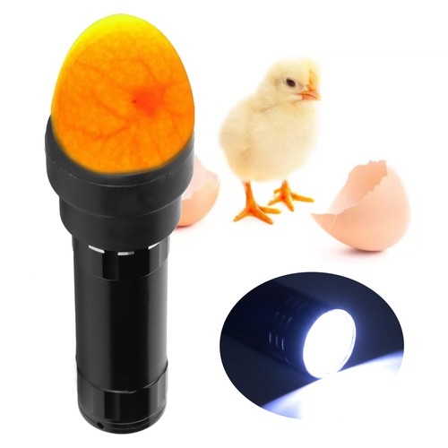 Egg candler tester lamp - egg, safe