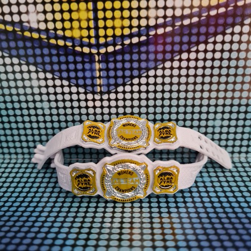 Women tag team championship - women's,