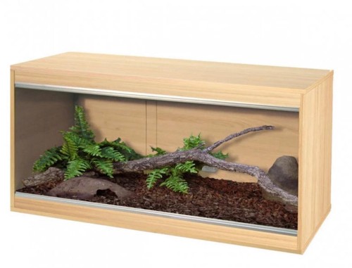 Beech vivexotic vivariums - beech,