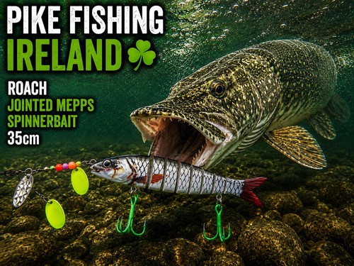 Pike fishing ireland - pike, ireland☘️