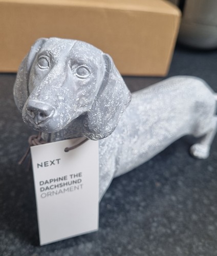 New beautiful daphne - daphne, dachshund