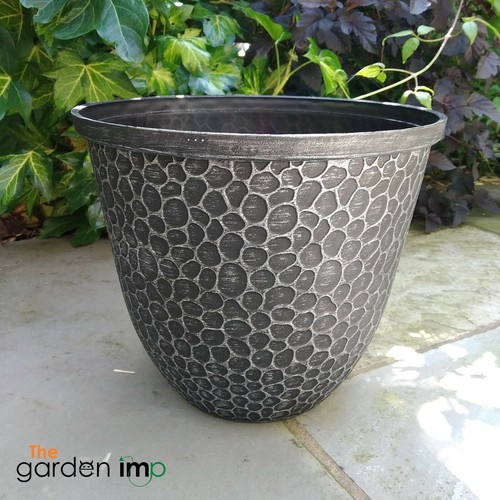 Plastic plant pot - plant, garden