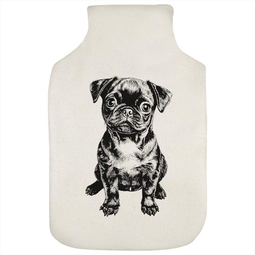 Cute pug puppy - 'cute,