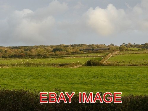 Photo grazing land near - photo,