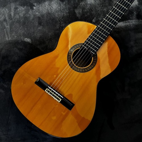 Jose ramirez used acoustic - ramirez,