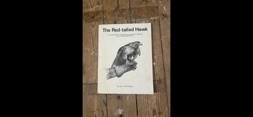 The red tailed hawk - the,