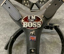 REAL LEATHER BULLDOG