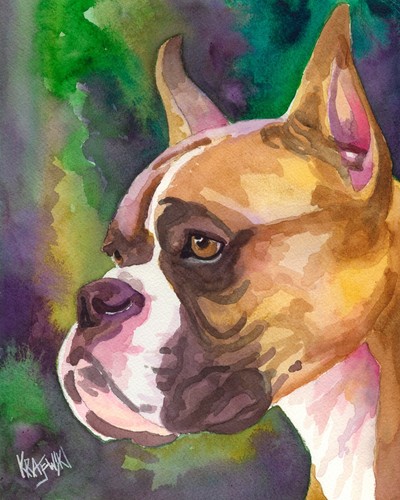 Boxer high resolution print - print, of