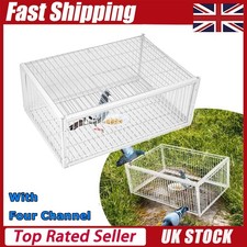 New Pigeon Cage Feral Pigeon