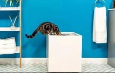 Omlet Maya Jump On Cat LitterBox